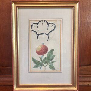 Vintage Botanical Print Framed Art | J & J Parkin Print | Antique Floral Art